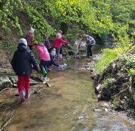 obrazek whatsapp 2024-05-02 v 08.52.03_66b263d8